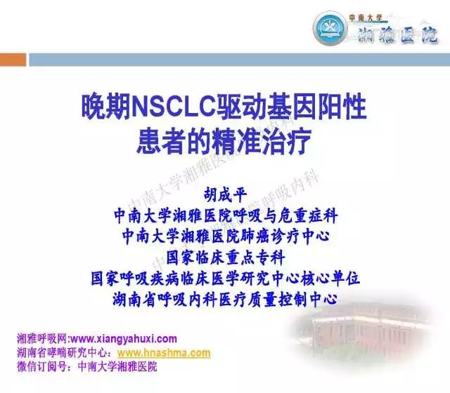 探索未来，新奥正版资料的精准性与免费大全的净化释义与落实策略