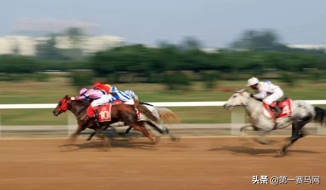 解析澳门新彩票制度，谋动释义与落实之路