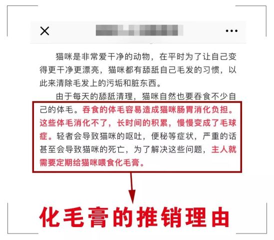 新澳历史开奖记录下的营销释义与落实策略