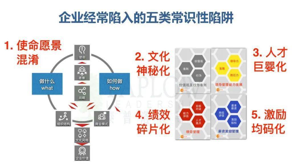 新澳企业内部一码精准公开，企业释义解释落实的重要性与策略