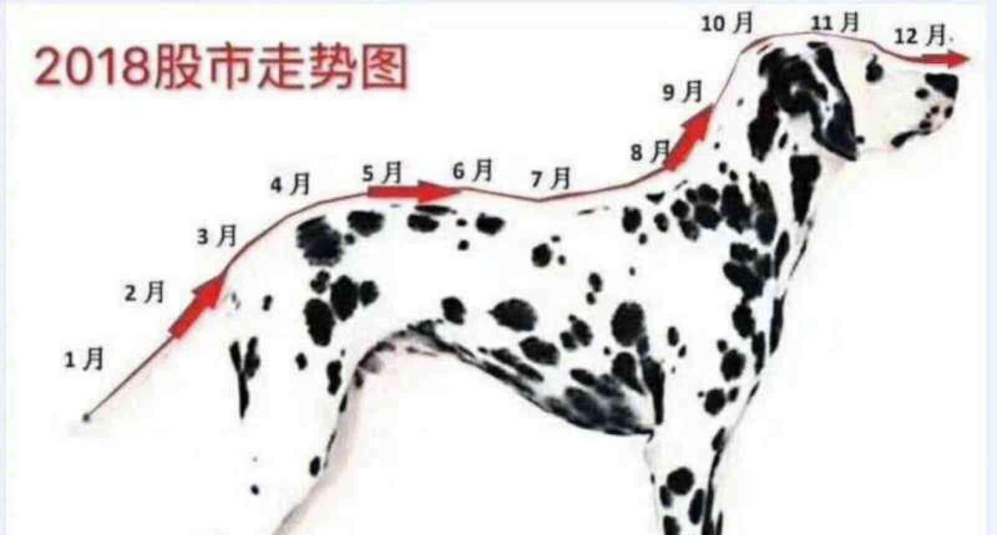 探索精准跑狗图正版与定夺释义解释落实之路