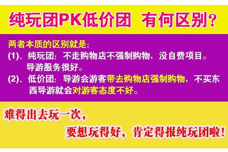 新澳天天开奖资料大全第262期，聚焦释义解释与落实行动