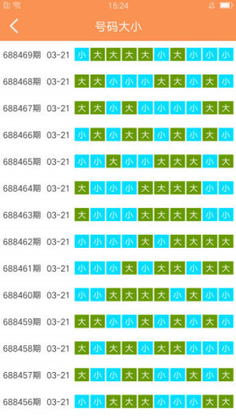 新澳门天天开好彩大全85期，国内释义解释落实之路