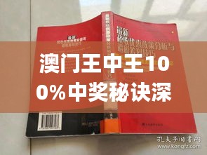 澳门王中王业务释义解释落实，探索期期中的成功之道