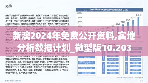 新澳2025正版资料免费公开，热点释义、解释与落实