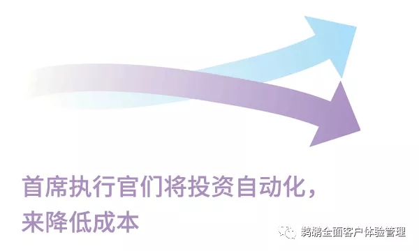 探索澳门未来，2025年最精准资料的即时释义与落实策略