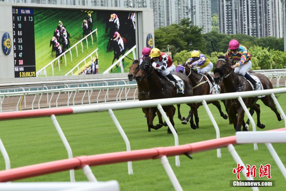 关于香港特马活动的探讨与释义解释落实