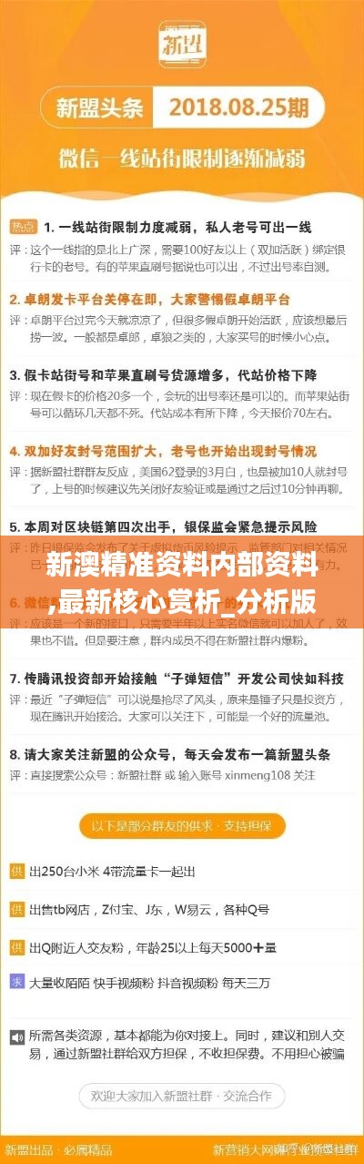 关于新澳精准正版资料与刺股释义的深度解析