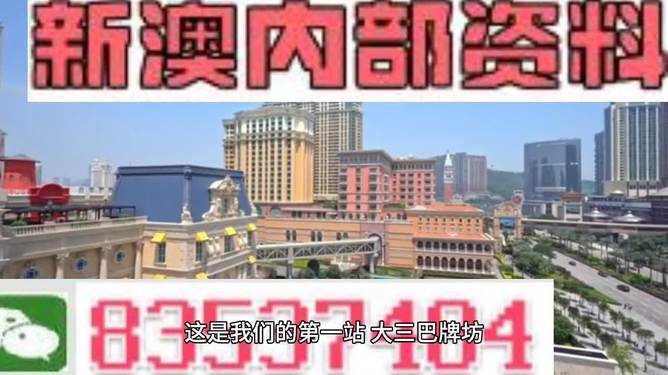 新澳门正版精准免费大全，公平释义与落实的重要性