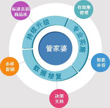 管家婆的资料一肖中特与工作的释义解释落实——深度探讨与实践指南