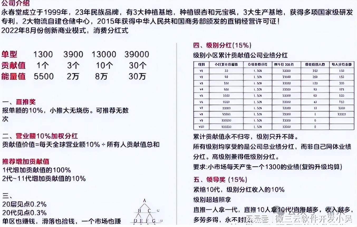 最准一肖一码，揭秘准确预测背后的秘密与落实之道