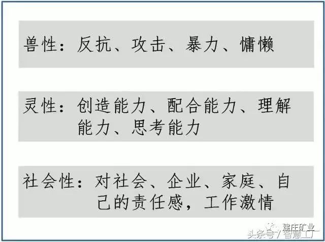 探究王中王中特亮点，从数字背后的故事到实践中的妥当释义与落实