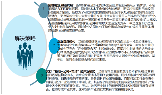 澳门正版资料大全与未来展望，2025年的研判释义与落实策略