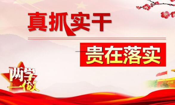 新奥资料免费期期精准，踏实释义、解释与落实