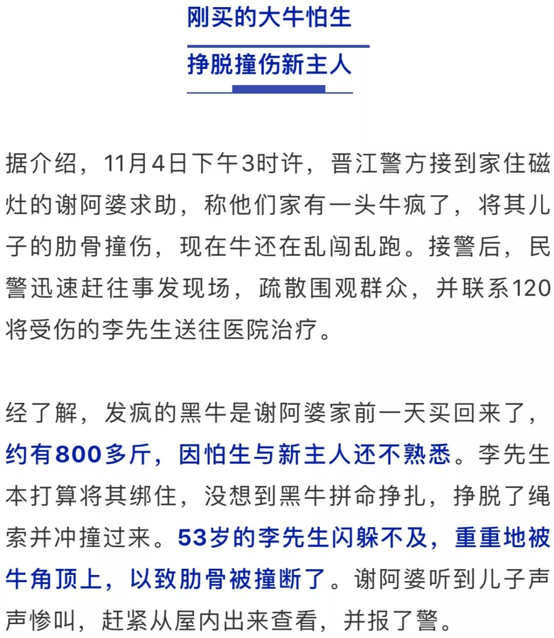 三肖必中特三肖三码官方下载与确认释义解释落实的深度解析