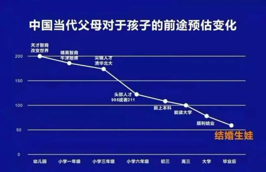 成长之路，从高清跑狗图新版到未来的探索——今日之成长释义与落实