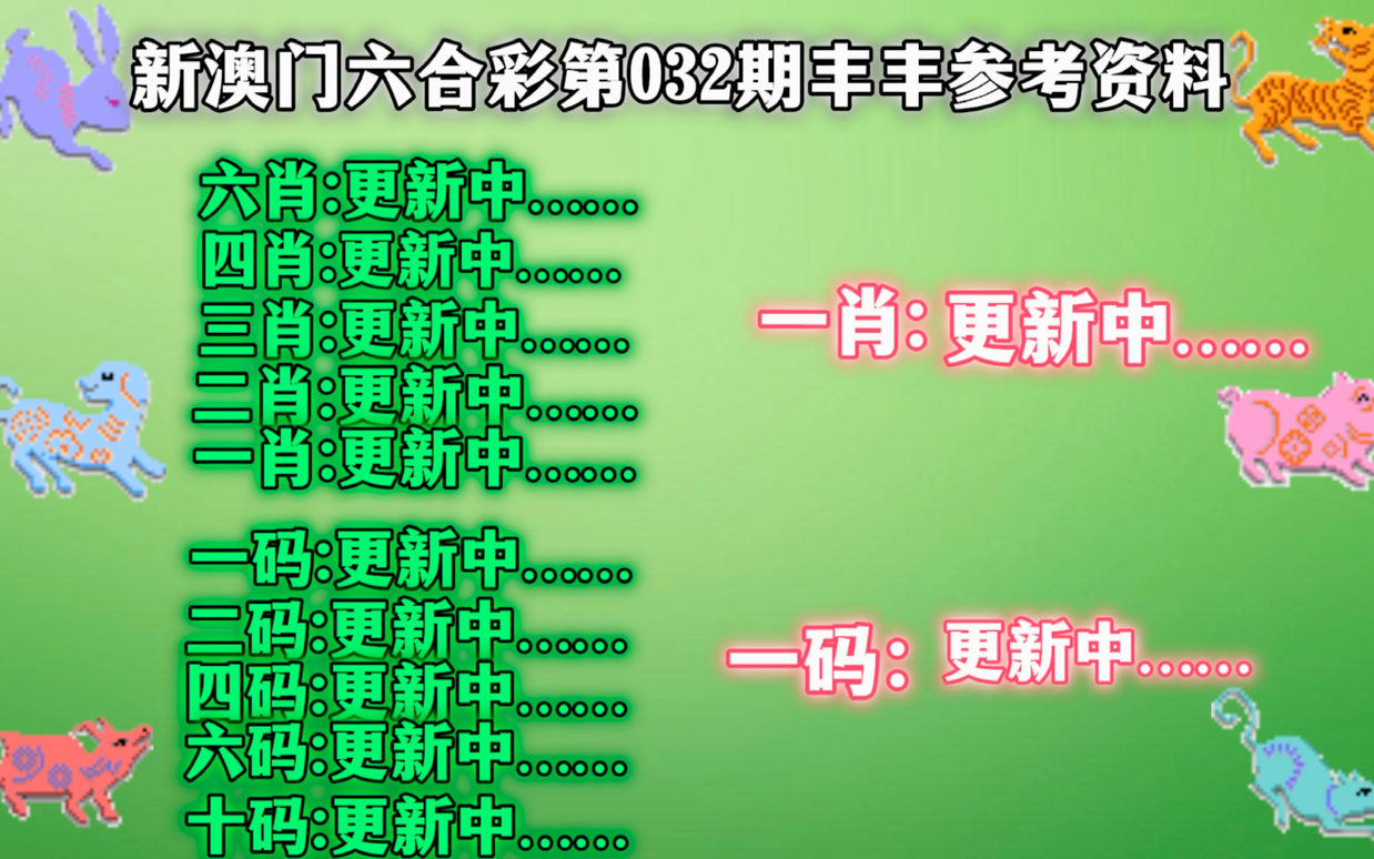 澳门鞋码一肖一，探索、赞成、释义、解释与落实