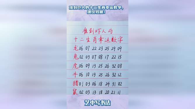 揭秘十二生肖与数字49的奥秘，损益释义与行动落实