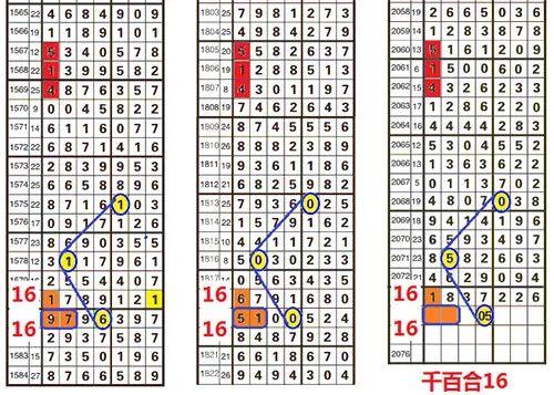 探索神秘数字组合，王中王四肖四码与满意释义的落实之道