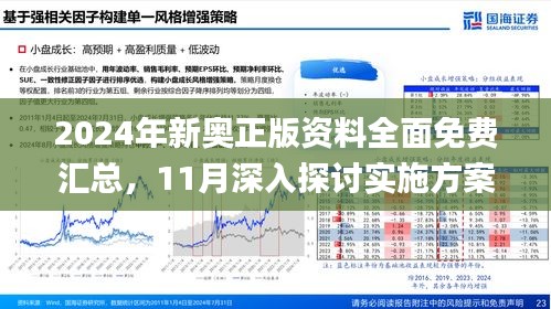 探索未来，解析新澳精准正版资料与至深释义的落实之路