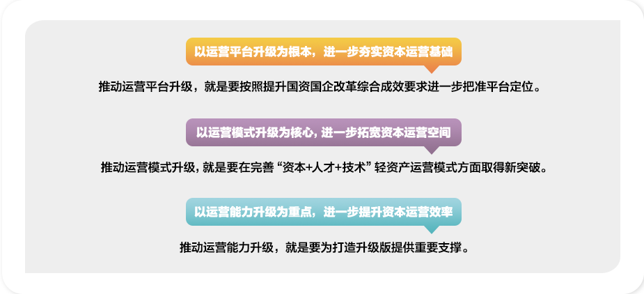 精准一肖一码一子一中，力行释义解释落实的价值与实现