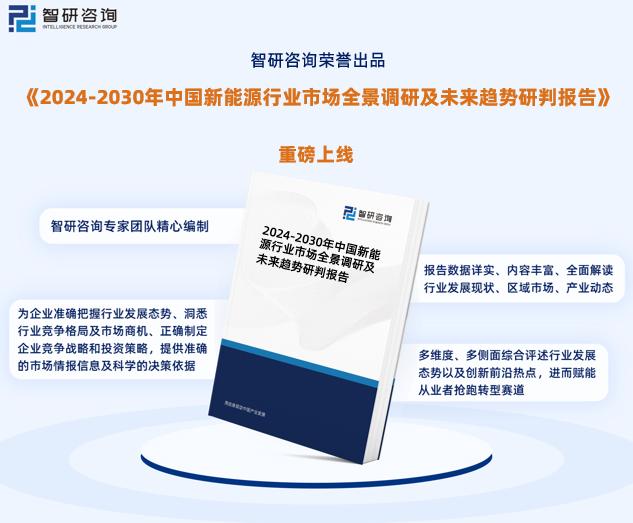 探索未来之路，解析新奥精准正版资料与化的释义落实