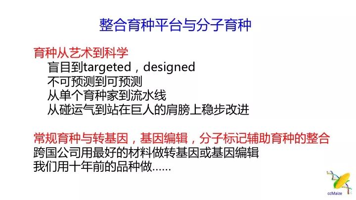 澳门一肖一特与接轨释义解释落实，精准预测的魅力与挑战