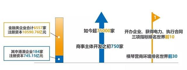 关于澳门彩票资料查询与公开释义解释落实的研究