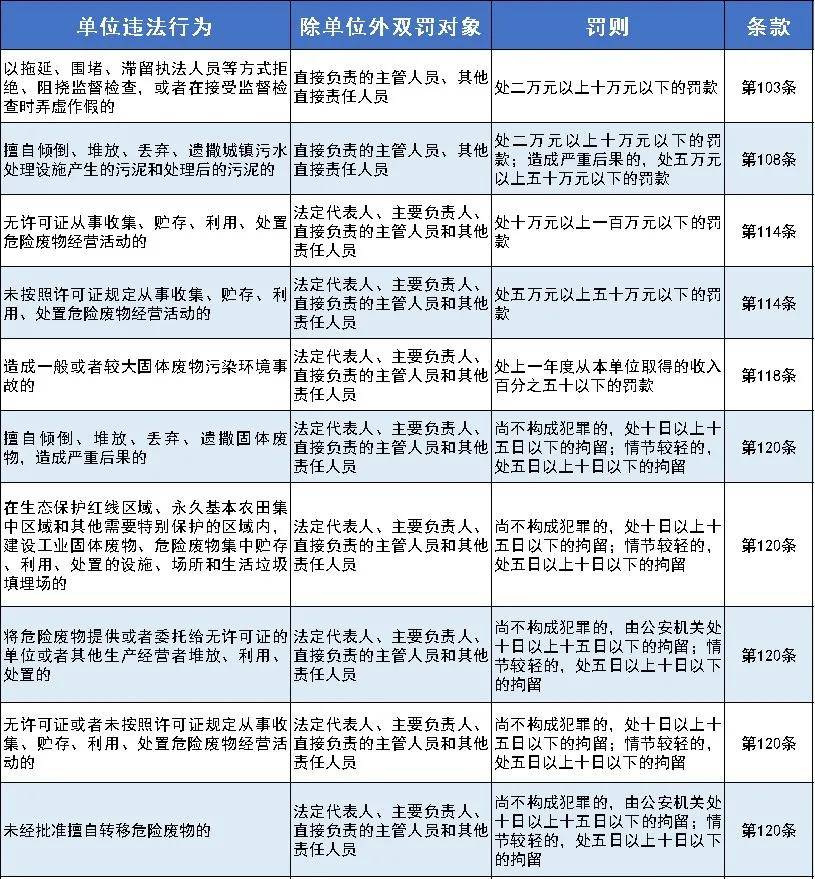 新澳门2025历史开奖记录查询表，经验释义与查询实践的落实