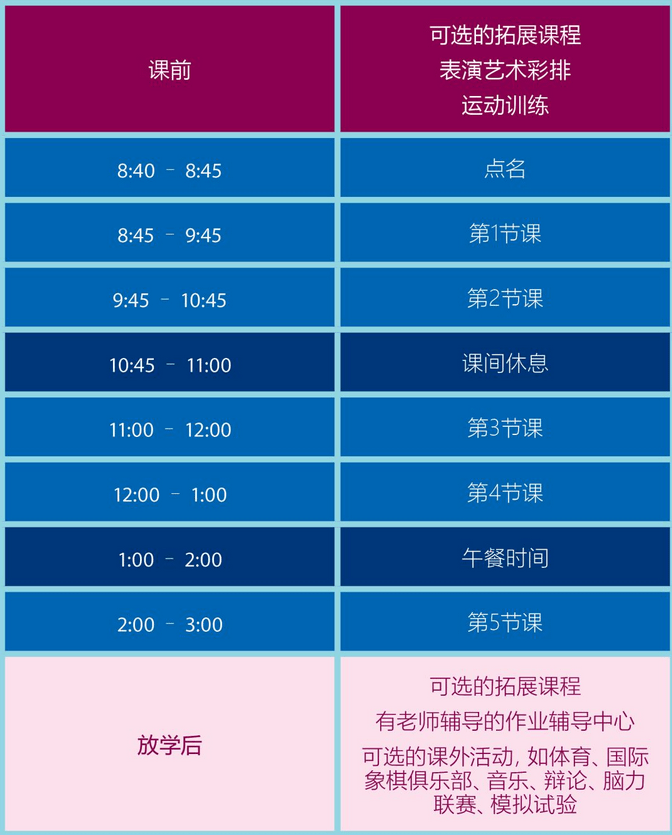 关于新澳今晚资料的理解与落实策略，走向未来的关键步骤