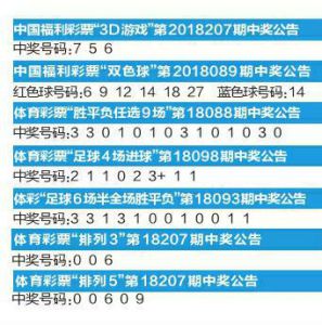 一码一码中奖，免费公开资料与盈利的深入解析