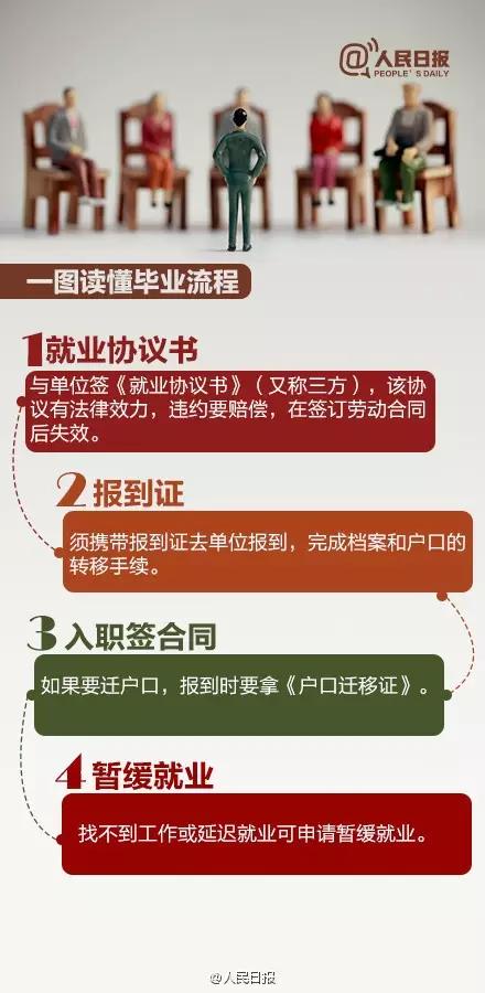 探索新澳正版资料，接纳释义的更新与实践之路