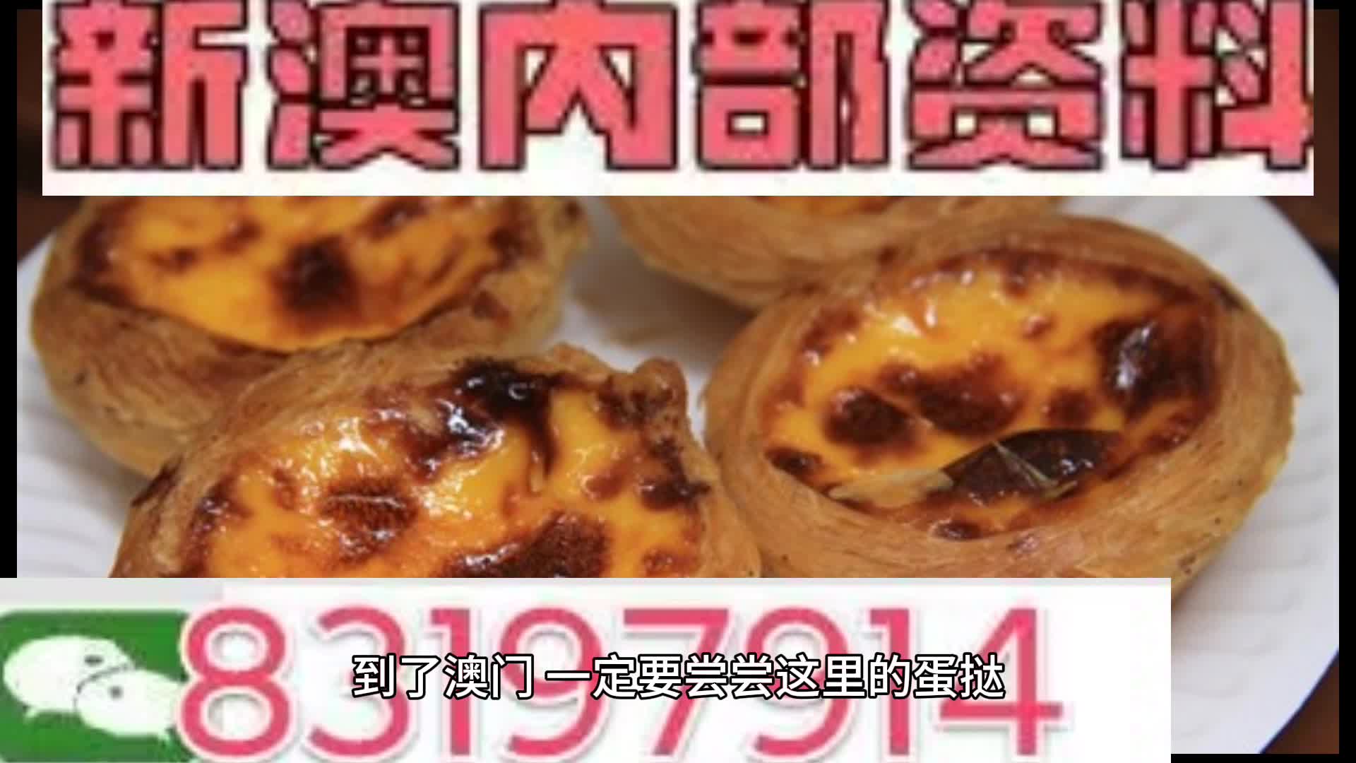 探索新澳门，孜孜释义下的正版资料大全与落实策略