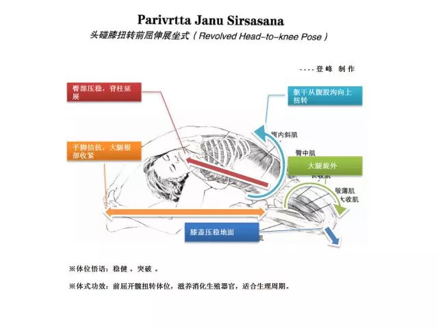 探索成长之路，从高清跑狗图新版到未来的成长释义与落实策略