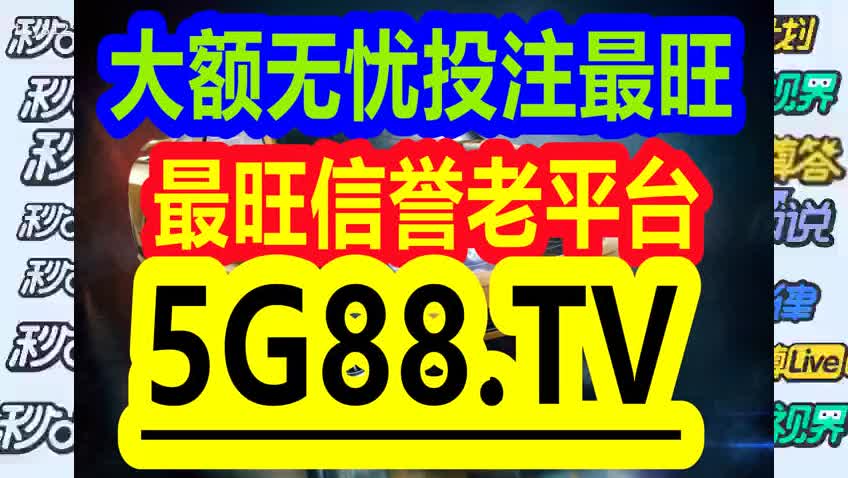 管家婆一码一肖与精准预测，深入解析与实际应用