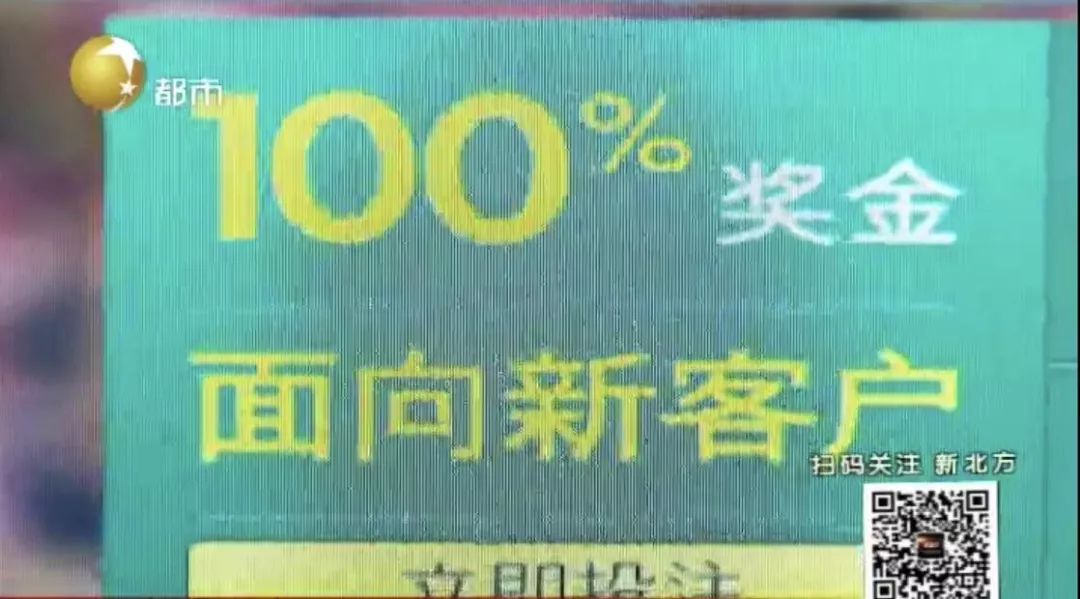 探索新澳门2004年彩票事件，天天开好彩背后的故事与落实解析