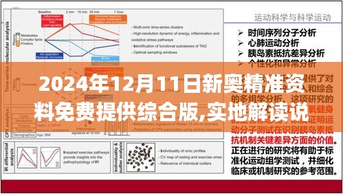 新奥精准资料免费提供（综合版），推敲释义、解释落实的深入探究