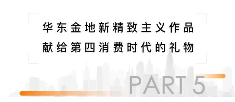 探索未来之路，解析新澳精准正版资料与刺股释义的落实之道