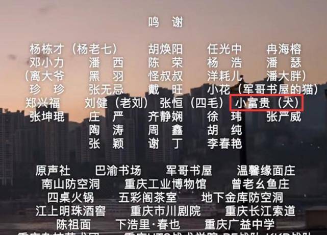 澳门三肖三码精准预测与社会释义解释落实的探讨