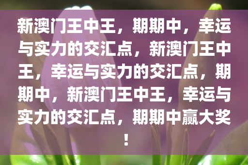 新澳门王中王王中王免费与继往释义解释落实的探讨