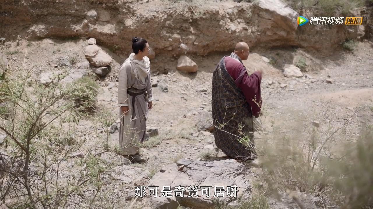 四不像正版与正版四不像一，资本释义解释落实