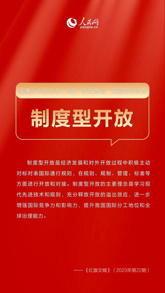 揭秘王中王开奖背后的故事，十记录网一与见微释义的深入解读