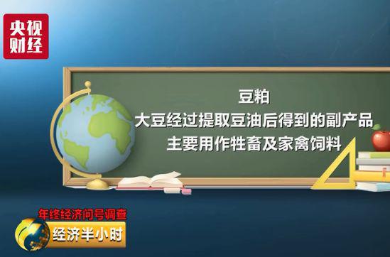 揭秘融资背后的玄机，跑狗、993994与www的联动效应