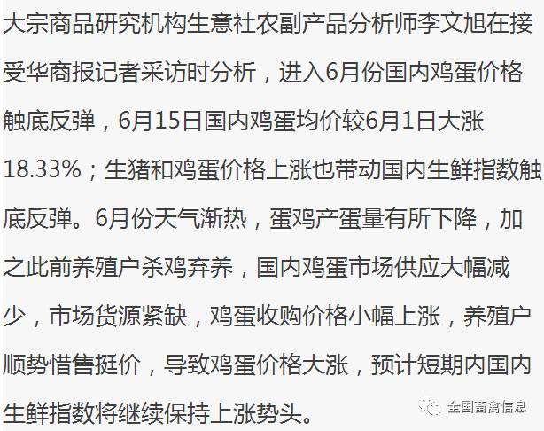 探索未知领域，新澳今晚资料鸡号与飞速释义解释落实的探讨