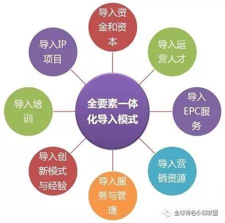 一码一肖，学者释义、落实解释与你好文化的融合