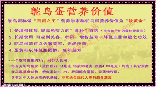 澳门特马今晚开奖93，筹谋释义、解释与落实的重要性