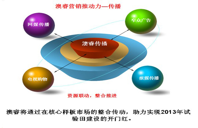 解读澳家婆一肖一特与力策释义落实——面向未来的策略展望