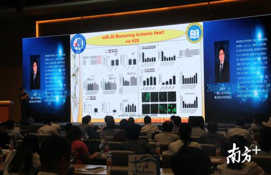 澳门一码一肖100%准确预测，客观释义、解释与落实