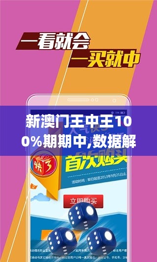 澳门王中王与心计，深度解析与实际应用