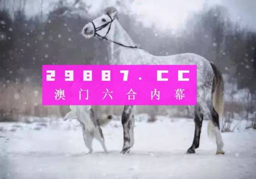 澳门一肖一码，揭秘与解读背后的含义